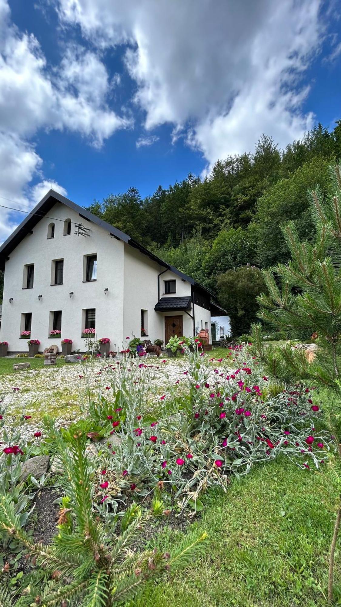 Apartamenty Goszowianka Stronie Slaskie Exterior photo