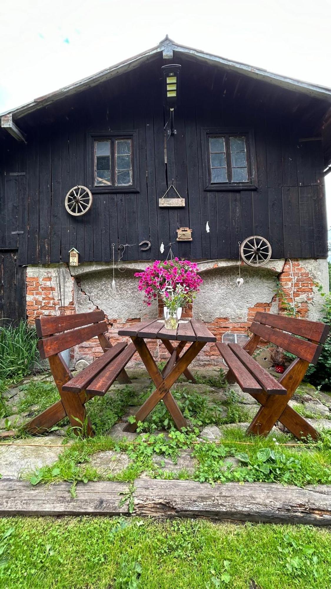 Apartamenty Goszowianka Stronie Slaskie Exterior photo